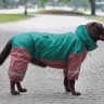 Дощовик для великих собак
